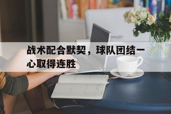 星空体育app官方下载-战术配合默契，球队团结一心取得连胜